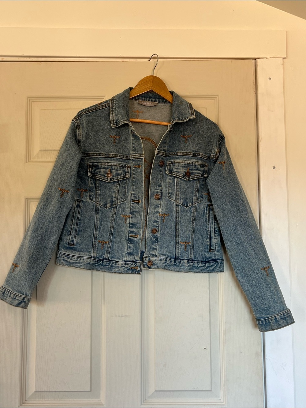 Embroidered Light Blue Denim Jacket - Women